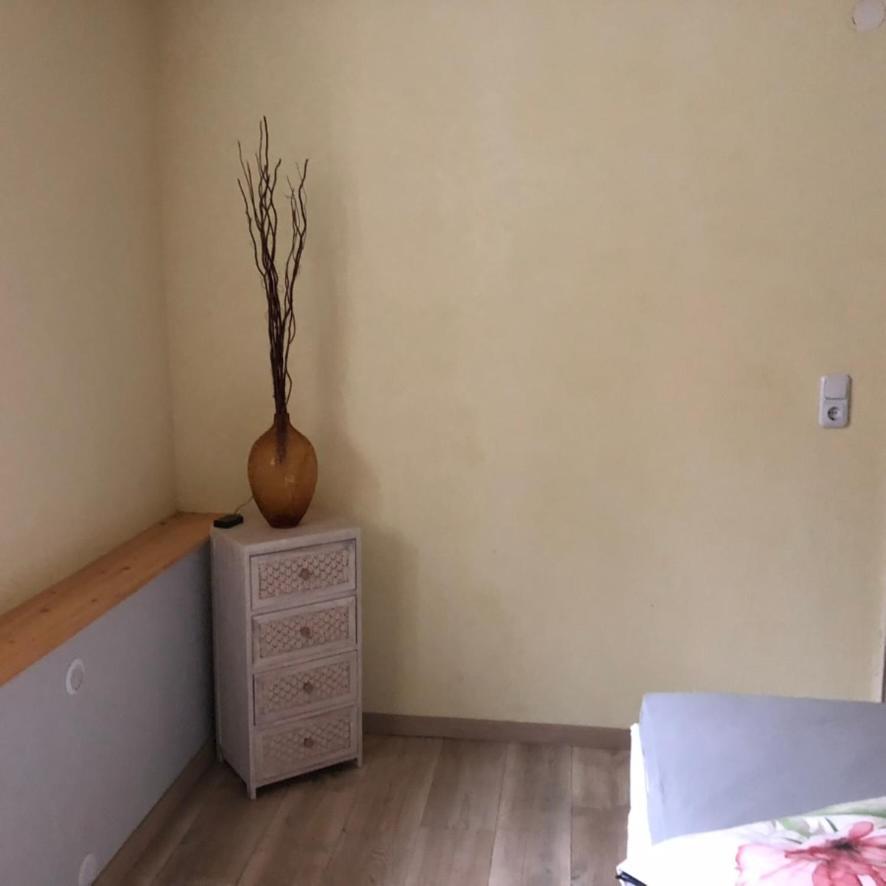 Casa Palatina Daire Merzalben Dış mekan fotoğraf